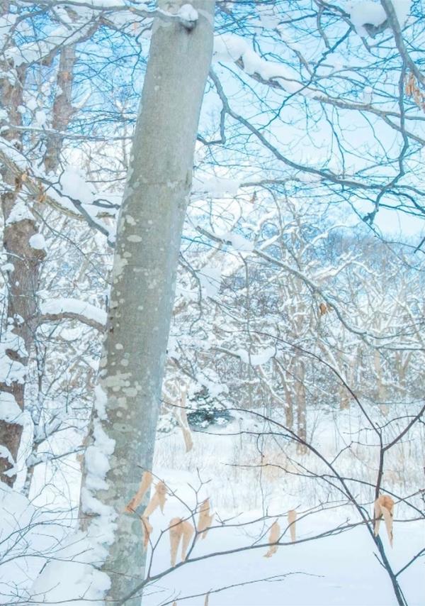 Whoseman-10-犬系男孩-安東尼-北海道特別企劃